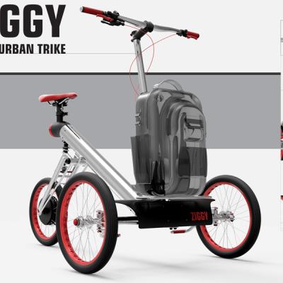 Bassojeronimoziggytrike